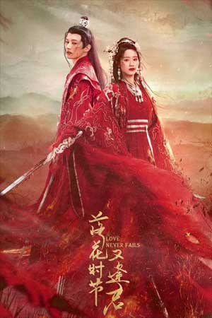 Mùa Hoa Rơi Gặp Lại Chàng